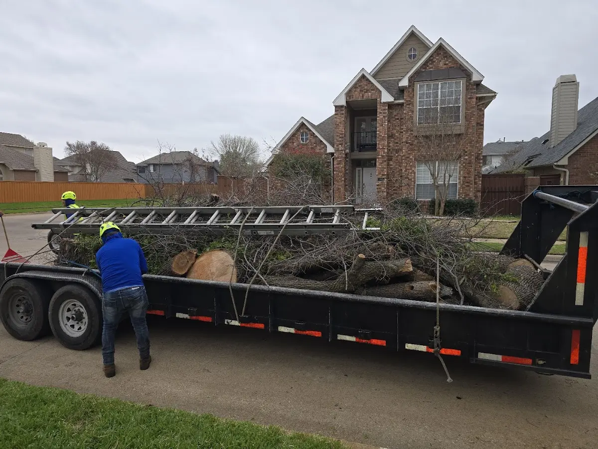 Expert Lot Clearing with proper safety equipment in Mumford